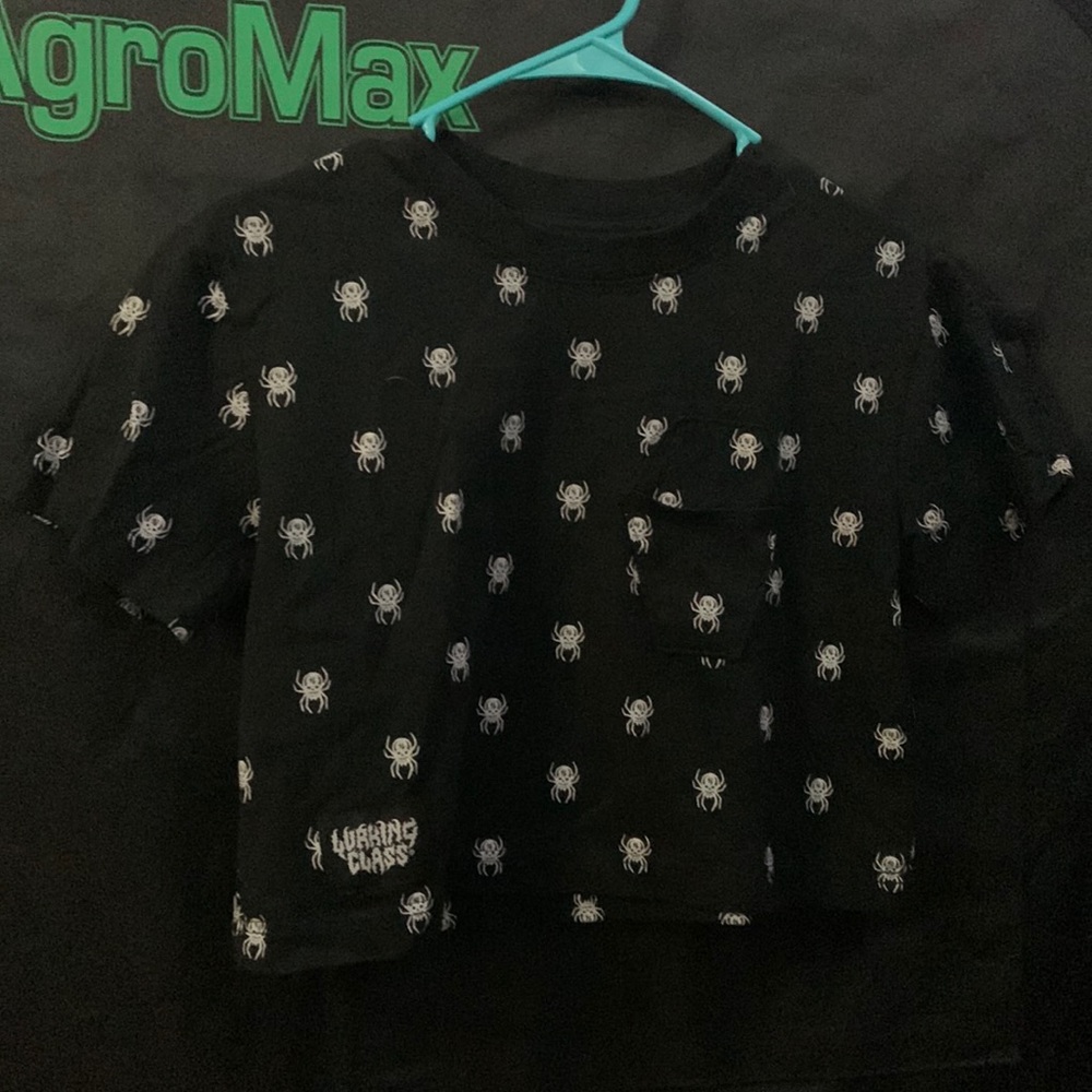 Lurking Class Spider Graphic Coffin Pocket Cropped Top